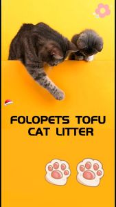 【Ready】6 Litter Tofu Cat Litter Pasir Gumpal Kucing Pasir Kucing Tofu Gumpal Wangi Anti Bakteri Cat Litter Sand pasir tofu soya