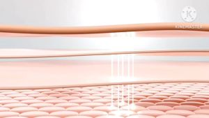 Daze Cream ปวดเมื่อย คลายกล้ามเนื้อ