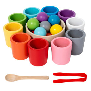 Montessori Wooden Toy Color Cups Matching Sorting Cognition Game Training Early Education Learning Educational Toys For Children