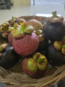 มังคุด.นครศรีธรรมราช