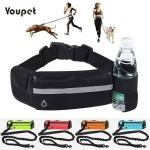 Dog Running Waist Leash Nylon Pet Leash with Waist Bag Retractable Elastic Belt Dog Traction Rope Reflective Belt Buckle