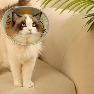 Vòng cổ chống liếm/ loa chống liếm dán siêu chắc chắn cho thú cưng - Tiệm Mèo Moa