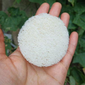 Bộ Dụng Cụ Vệ Sinh Nhà Bếp Bằng Rễ Dưa Chuột Tự Nhiên Dụng Cụ Tắm Gội Bàn Chải Rửa Bát Bàn Chải Dưa Chuột Không Tẩy Trắng