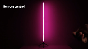 CHENBEN RGB Floor Lamp USB Rechargeable Corner Standing Light Smart Phone APP Remote Control Ambient Light for Holiday and New Year Home Decor