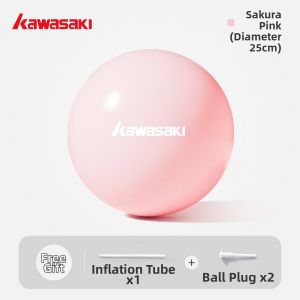 Kawasaki | Fitness Repair and Postpartum Exercise Small Yoga Ball