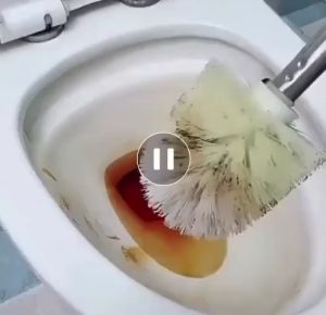 BY736 Sikat WC Sikat Kamar Mandi / Pembersih Closet Toilet Kloset Golf