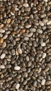 Organic Chia Seed / Chia Seeds (Keto/Low Carb Diet/Healthy Snacks) (500g1kg) - Organic Seed