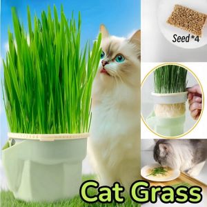 Organic Cat Grass Cultivation Cup Soilless Cat Grass Planting Box Free Seeds Cat Treats