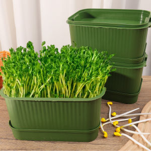 Sprouting Tray Seed Starter Tray with Ventilation Hole Home Garden Balcony Soilless Hydroponic Bean Seedling Tray Planting Box