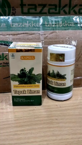 kapsul tapak liman untuk batu ginjal akut kronis amandel keputihan alami isi 60.