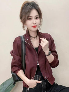 Áo Khoác Ngắn Thời Trang Xuân Thu Thiết Kế Mới Cho Nữ Cổ Đứng Thường Ngày Chất Liệu Polyester Dài Tay Màu Trơn