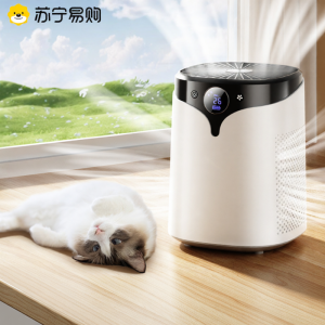 KUNYI | Eliminate Formaldehyde Smoke Odor And Pet Hair Ionizer Air Purifier