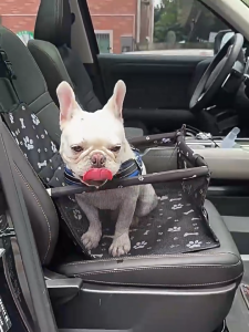 HATELI Dog Car Seat Puppy Portable Pet Booster Cat Puppy Car Seat with Clip-On Safety Leash and PVC Support Pipe Anti-Collapse Perfect for Small Pets