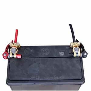 2 PCS Car Battery Terminal Connector Tool Quick Release Battery Terminal Clamp Porous Wiring