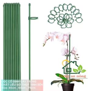 CCDL6L - Sét 10 trụ cắm phiên bản nâng cấp chống ngả nghiêng cây trồng chất liệu sợi thủy tinh cứng cápxem trong mô tả