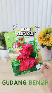 Bibit Tanaman / Bibit Bunga / Bunga Red Violet Berkualitas Isi 300 Benih / Benih