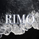 RIMO selected
