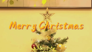 🎄ต้นคริสต์มาส🎄ตั้งโต๊ะ + ของตกแต่งคริสมาสต์ Christmas tree ต้นคริสต์มาสพร้อมไฟ ต้นคริสมาสต์ขนาดเล็ก ของตกแต่งคริสมาสต์