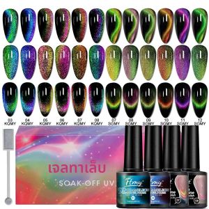 ชุดยาทาเล็บแม่เหล็กแมวตาแมวประกายรุ้ง + ยาทาเล็บแม่เหล็กสองสี ประกอบด้วยแท่งแม่เหล็ก เอฟเฟกต์กาแล็กซี่เปลี่ยนสีแบบแมวตาแมว