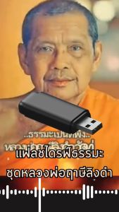 แฟลชไดร์ฟแท้ USB - MP3 เสียงธรรมพระอริยสงฆ์ หลวงพ่อฤษีลิงดำ วัดท่าซุง (ฟังต่อเนื่อง 150 ชม.)
