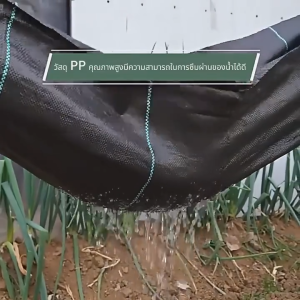 พลาสติกคลุมดินหนาขึ้น ผ้าคลุมหญ้า พลาสติกคลุมวัชพืช พืชคลุมดิน สำหรับป้องกันหญ้าและจ