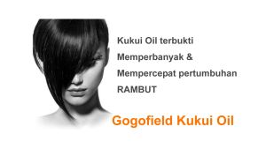 GogoField Kukui Oil Minyak Kemiri 100ml / Gogo Field Minyak Rambut Bayi