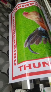 CustomizE Limber matting 4x4 feet for rooster