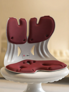 Ergonomic Office Lumbar Support Cushion