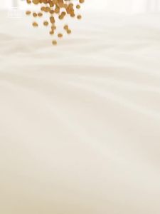 Mercury | Antibacterial Soy Fiber Quilt Insert