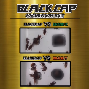 ARS BlackCap Ready-Made Cockroach Bait