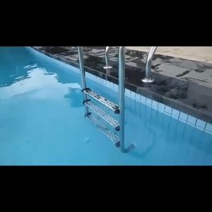 sale Stainless Steel Swimming Pool Step Ladder with Built-in P Shaped Grab Rail 2/3/4/5-step