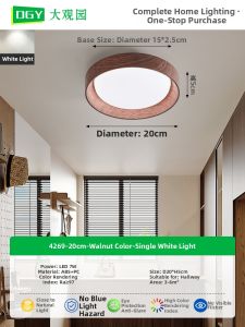 DGY | Hallway Entrance Closet Balcony Retro Walnut Color Ceiling Light