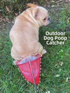 Jiaxun | Adjustable No Bending Pet Pooper Scooper