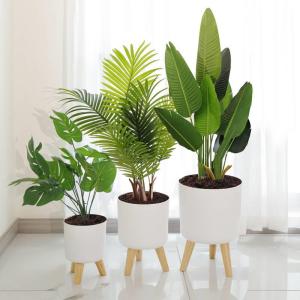 Indoor Self-Watering Large round Flower Pot Lazy Gardening Plant Pots Stand Pull Car for Living Room Bedroom Rent Placement