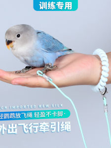 Ultra-Light Bird Leash for Outdoor Walking Parrots And Small Birds Specialized Release Rope Tiger Skin Peafowl Little Sun