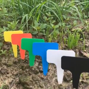 Isi 100PCS Penanda Label Name Tag Tanaman Hias Plant Marker Semai Benih Bibit Bahan Plastik Warna Pembibitan Taman Bunga Succulents Kebun Mark T-jenis