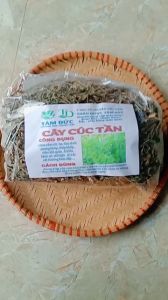 1kg cây cúc tần sấy khô