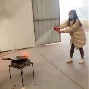 Bình chữa cháy Cứu Hỏa Ô Tô MINI Dùng Cho Xe Hơi Chung Cư Gia Đình Bếp Nấu Ăn An Toàn Tiện Dụng (Dung tích 500Ml)