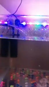 YANG YP800L Mini Internal Filter Air Mancur Pompa Aquarium Kecil YP 800L 800 L AQUASCAPE