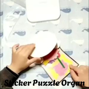 KNB Sticker Human Organ / Puzzle anatomi tubuh DIY pencernaan manusia