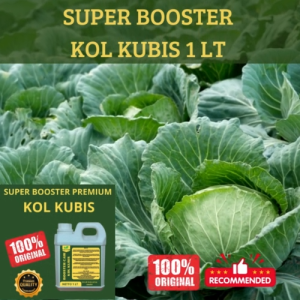 Pupuk Kol Kubis 1LT Supaya Cepat Berbuah Pupuk Supaya Subur Berbuah Pupuk Kol Kubis Besar