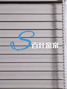 Screen Blinds For Window Roller Blinds For Window Blockout Curtain Blind Window Blinds Roller Thickened S-shaped Brushed Fabric PVC Blinds 百叶窗