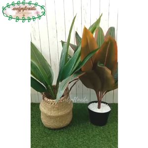 Pohon Imitasi Daun Kunyit Variasi Warna Hijau & Coklat Pot Dasar Hitam Cover Purun Belly Hiasan Caffe Aesthetic