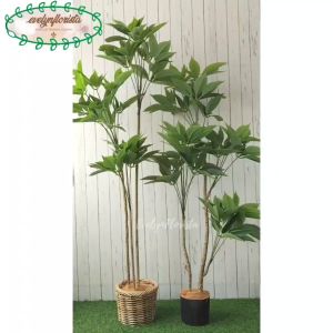 Tanaman Artificial Daun Manggis Variasi Tinggi 150 & 170 Cover Rotan Bulat Dekorasi Ruang Tamu Aesthetic