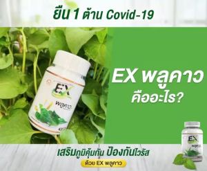 ส่งฟรี 4แถม3 EXพลูคราว พลูคราวสกัดของแท้100% บรรจุ 30 เม็ด รับประกันของแท้ 100%