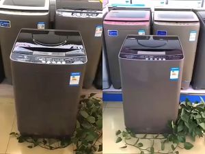 10kg Fully Automatic Pulsator Washing Machine Home Use Washing Dehydrating All-in-one Washing Machine