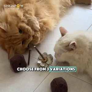 CatWant Catnip Paper Flowers Handmade Silvervine Stick Dental Natural Safe Feline Cat Toy