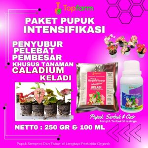 Pupuk Tanaman Hias Keladi / Pupuk Tanaman Keladi / Pupuk Khusus Pelangi / Pupuk Penyubur Bunga Keladi / Pupuk Bunga Keladi
