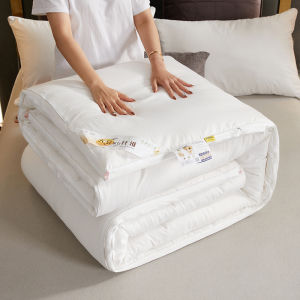 Class a Pure Cotton Soybean Fiber Winter Quilt Small Pattern Air Conditioning Spring Autumn Quilt for Dormitory Single And Double Bed