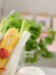 Cincang dalam 3 detik: Blender Perajang Bawang Putih & Perajang Makanan Bayi Listrik